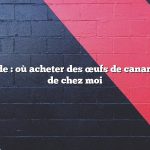 Réponse rapide : où acheter des œufs de canard fertiles près de chez moi